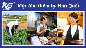 Lưu nháp tự động